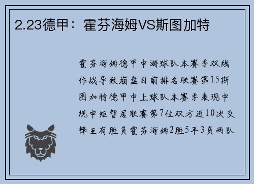 2.23德甲：霍芬海姆VS斯图加特