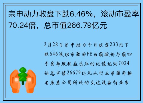 宗申动力收盘下跌6.46%，滚动市盈率70.24倍，总市值266.79亿元