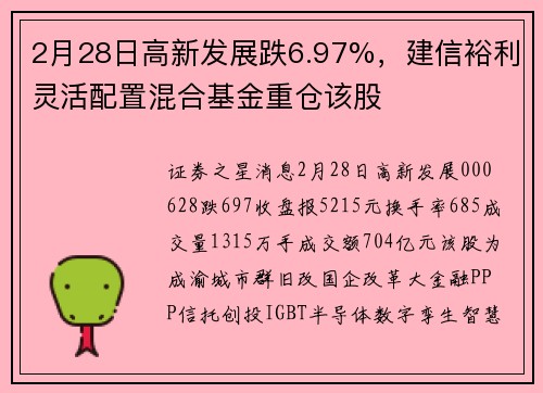 2月28日高新发展跌6.97%，建信裕利灵活配置混合基金重仓该股