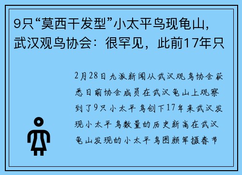 9只“莫西干发型”小太平鸟现龟山，武汉观鸟协会：很罕见，此前17年只遇到6次