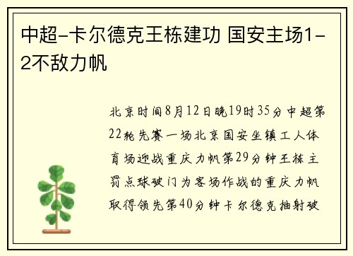 中超-卡尔德克王栋建功 国安主场1-2不敌力帆