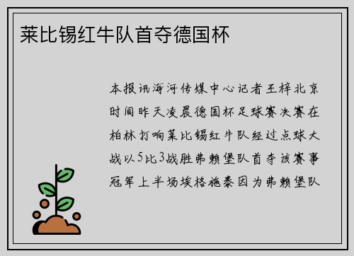 莱比锡红牛队首夺德国杯
